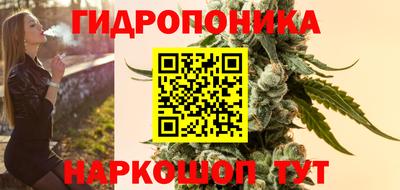 крисы Пыть-Ях