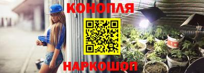 крисы Пыть-Ях