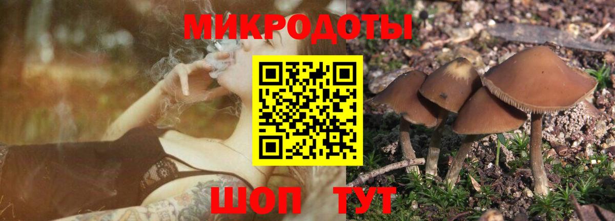 A PVP СК   MDMA  LSD-25  МЕФ кристаллы  ТГК  Нижнеудинск  КОКАИН  Вход с VPN  Гашиш  Марихуана  АМФ  